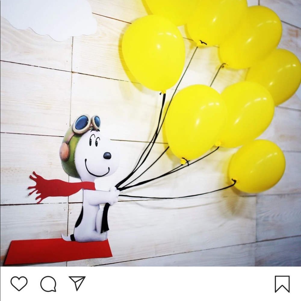 Meet your Posher, Vy